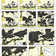 Image: Koyama Press